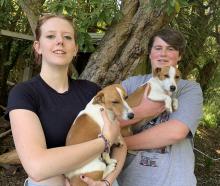 Lucy Jackson, 18 (left), holds Max, and Jamie Hall, 18, holds Jesse — the two dogs missing from...