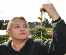 Greater Green Island community garden curator Jules Haldane holding leftover carrots after a...