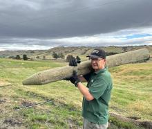 Matt Sutton, of Dunedin, carries a wooden post as a team of volunteers restore a section of...