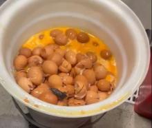 A mouse (circled) in a waste bucket with broken eggs at Mainland Poultry in Waikouaiti. PHOTO:...