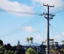 Powerline tampering has been on the rise over the last 10 days. Photo: File image