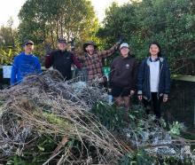 Volunteers cleaned up at Kaikōura’s little penguin colony. Photo: Supplied by Jody Weir