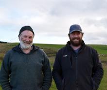 Sheep and beef farmer Graham and Rhys Evans and their two-tooth ewe flock on their property Barr...