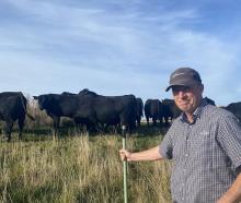 Palmerston livestock agent Gerard Shea hopes sharing his own story will encourage others to seek...