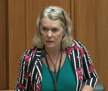 Ingrid Leary. PHOTO: PARLIAMENT TV