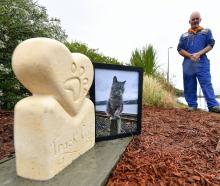 West Harbour Community Board member Jarrod Hodson pays respects to the beloved "Track Cat", who...