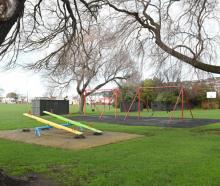 The attack happened at Bathgate Park in South Dunedin. Photo: ODT Files