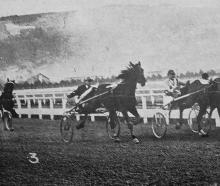 Finish of the St Clair Handicap at Forbury Park Trotting Club’s winter meeting, Dunedin. — Otago...