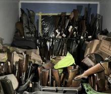 Police yesterday seized nearly 500 firearms from a property in Gore. PHOTO: SUPPLIED