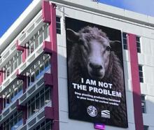 Federated Farmers have put up a billboard in Wellington claiming sheep are not the problem. Photo...