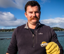 Mahurangi Oysters farmer Jim Aitken says people are working in human waste. Photo: Nick Monro