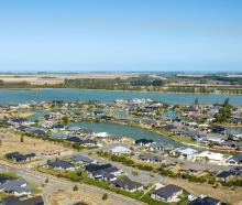 Algae blooms have plagued Lake Hood over the last three summers. Photo: Supplied
