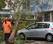 Contractors work to remove a tree that fell on a car parked outside the University of Otago...