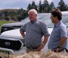 Canterbury A&amp;P Association president Brent Chamberlain, left, working in his day job with...