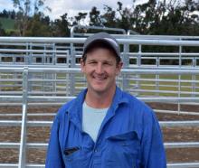 Hill Springs co-owner Curtis Pannett at his new cattle yards in Teviot. PHOTOS: SHAWN MCAVINUE
