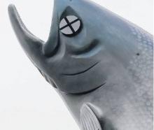 The defaced Rakaia salmon, with tape remaining on its fin from a speech bubble now believed to be...