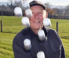 Taieri farmer Bill Nichol tosses some of the golf balls that have ended up on his side of the...