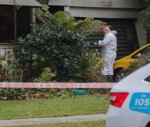 An investigator at the fire scene. Photo: RNZ / Louis Dunham