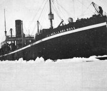 Sir James Clark Ross, the mother ship, stuck fast in ice during the recent whaling trip. — Otago...