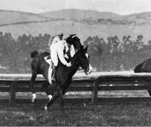 Dunedin Jockey Club's winter meeting at Wingatui. Over the post-and-rail in the St Clair...