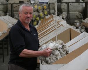PGG Wrightson Wool South Island manager Dave Burridge has concerns the crossbred wool market is...