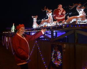 Debra Miles shows off some of her home-made Christmas lighting displays at her home in St...