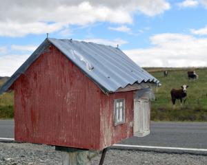 State Highway 87 runs between a house mailbox and grazing cattle near Kyeburn. PHOTOS: SUPPLIED