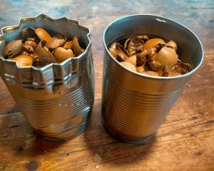 Two tins full of nuts shells waiting for their turn in the wood burner. 