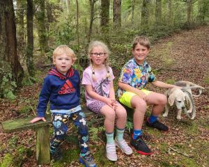 Finn McConnell, 2, Luca Baldwin, 5, and Alex McConnel, 8, take a rest on a bush walk at Piano...