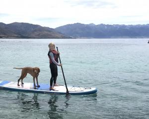 Paddleboard built for two ... Zara Ryan, 7, of Balclutha, goes paddleboarding with Red, a family...