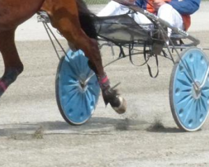 harness-racing-sig.png