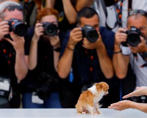 Photographers take pictures of cast member Demi Moore’s dog, as she poses during a photocall for...