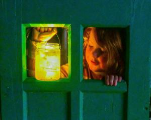 Morgan Rapley-Cameron, 5, with his lantern. PHOTOS: MANELAND PHOTOS
