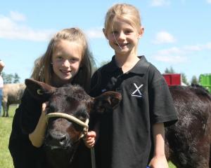 Lilith Stringer, 8, and her sister, Nina, 6, earned yellow and blue ribbons, respectively, for...