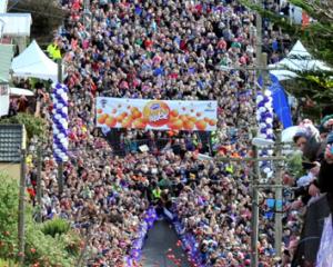 Jaffas flood down Baldwin St to the waiting crowds during the Cadbury  Jaffa Race yesterday....