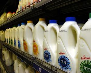 Milk production is forecast to fall in next decade. Photo by Jane Dawber.