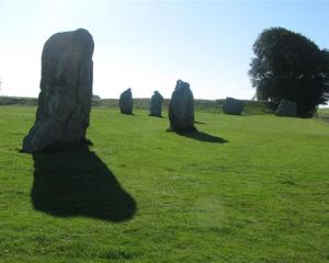 A few of the remaining standing stones at Avebury, in England. Most of the original 600 stones...