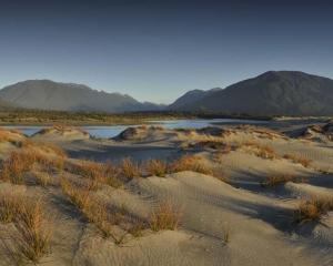 A newly-formed charitable trust will work with the Department of Conservation to restore native...