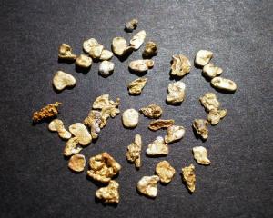 Alluvial (loose) gold from the Maniototo worth up to $6 million is expected to underpin Glass...