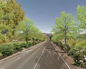 An artist's impression of what Miller Rd on the approach to Dunedin International Airport would...