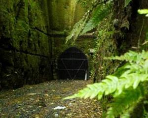 An entrance of the Caversham tunnel. Photo: Gerard O'Brien