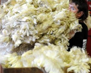 ANZ economists say the New Zealand wool industry is in need of rationalisation and consolidation.
