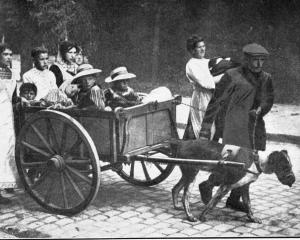 Belgian refugees leaving Brussels on the approach of the Germans. A Belgian dog, which possesses...