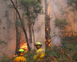 Controlled burn-offs, like this one in bush near Ballarat, Australia,  and top right, get rid of...