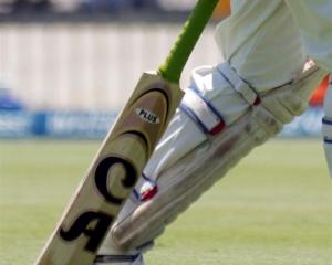 cricket_gen.jpg