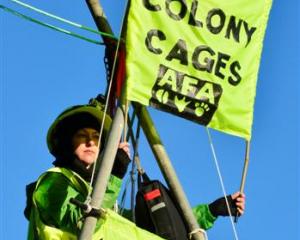 Deirdre Sims sits at the top of a tripod blocking access to Mainland Poultry's battery hen farm...