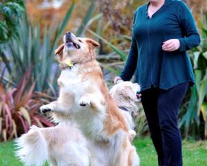 Dr Sue Walthert with dogs Pippa and Gin. Photo by Gerard O'Brien.