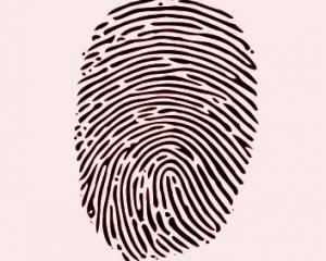fingerprint_Wikimedia.jpg