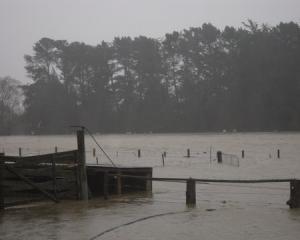 Flooding in North Otago where the Waiareka creek has burst its banks flooding surrounding...