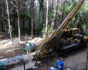 Glass Earth Gold is concentrating its efforts on gold targets (pictured) in the Hauraki region of...